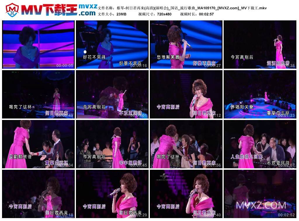 蔡琴-何日君再来(高清)(演唱会)_国语_流行歌曲_MA105170